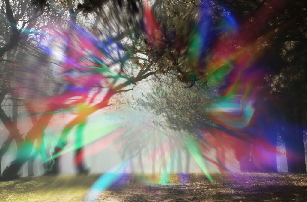 Rainbow-colored flashers from a migraine aura distort the scene of a misty forest.